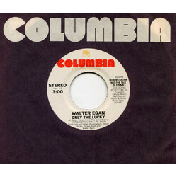 Walter Egan Only The Lucky USED VINYL 7INCH 45 RPM SINGLE PROMO STEREO MONO