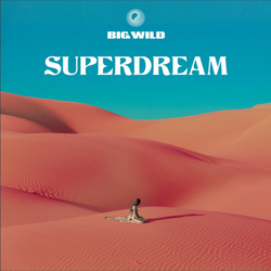 Big Wild Superdream Vinyl LP USED