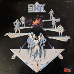 Skyy Skyy Vinyl LP USED