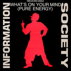 Information Society What's On Your Mind (Pure Energy) Vinyl 12" USED