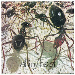 Shiny Beast (2) Distro Vinyl 7" USED