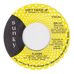 Flavor (2) Don't Freeze Up Vinyl 7" USED