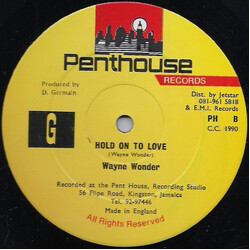 Wayne Wonder Hold On To Love Vinyl 12" USED