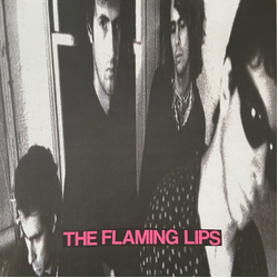 The Flaming Lips In A Priest Driven Ambulance Vinyl LP USED