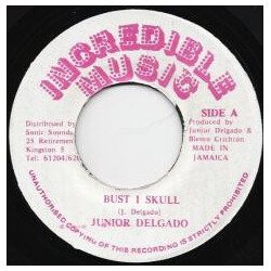 Junior Delgado Bust I Skull Vinyl 7" USED