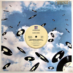 Karin Jones Under The Influence Of Love Vinyl 12" USED