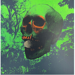John Dwyer / Nick Murray (8) / Brad Caulkins / Greg Coates / Tomas Dolas Witch Egg Vinyl LP USED