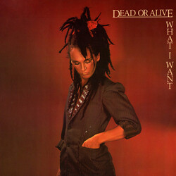 Dead Or Alive What I Want Vinyl 12" USED