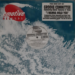 Groove Committee / Glenn "Sweety G" Toby I Wanna Hold You Vinyl 12" USED