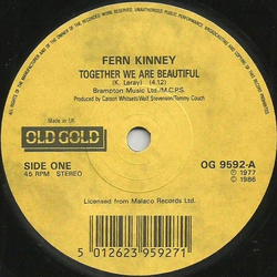 Fern Kinney / Booker Newberry III Together We Are Beautiful / Love Town Vinyl 7" USED