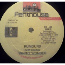 Wayne Wonder Rumours Vinyl 12" USED