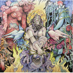 Baroness Stone Vinyl LP USED