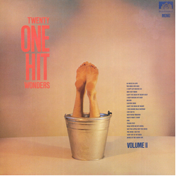 Various 20 One Hit Wonders Volume II Vinyl LP USED