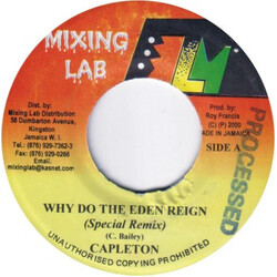 Capleton / Leego Why Do The Eden Reign (Special Remix) / Wicked E Vinyl 7" USED