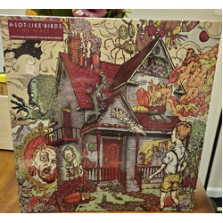 A Lot Like Birds No Place Vinyl LP USED