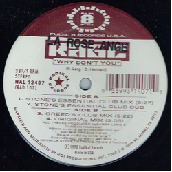 Rage Why Don't You Vinyl 12" USED
