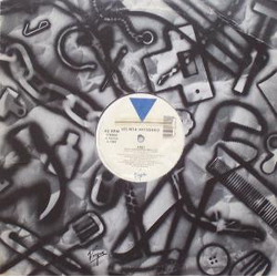 Les Rita Mitsouko Andy / Un Soir Un Chien Vinyl 12" USED