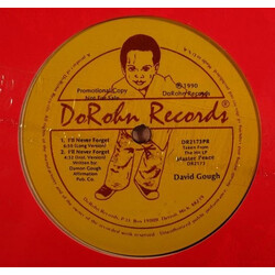 David Gough I'll Never Forget Vinyl 12" USED