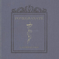 Astronautalis Pomegranate Vinyl LP USED