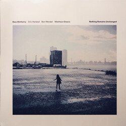 Ross McHenry Nothing Remains Unchanged Vinyl LP USED