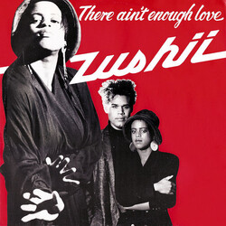 ZUSHii There Ain't Enough Love Vinyl 12" USED