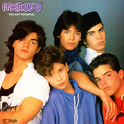 Menudo You Got Potential Vinyl 12" USED