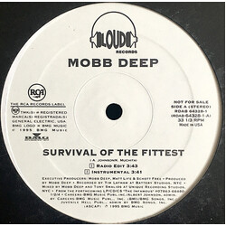Mobb Deep Survival Of The Fittest Vinyl 12" USED