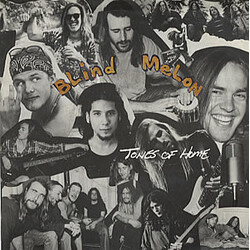 Blind Melon Tones Of Home Vinyl 7" USED
