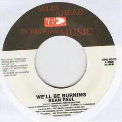 Sean Paul We'll Be Burning Vinyl 7" USED