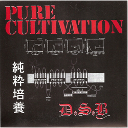 D.S.B. (2) Pure Cultivation Vinyl 7" USED