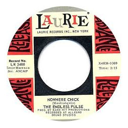 Endless Pulse Nowhere Chick / Wake Me Shake Me Vinyl 7" USED