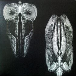 The Skull Defekts Dances In Dreams Of The Known Unknown Vinyl LP USED