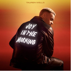 Tauren Wells Joy In The Morning Vinyl LP USED