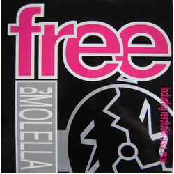 Molella Free Vinyl 12" USED