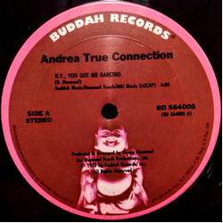 Andrea True Connection N.Y., You Got Me Dancing / Fill Me Up (Heart To Heart) Vinyl 12" USED