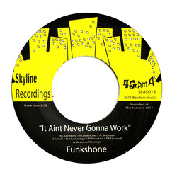 Funkshone It Aint Never Gonna Work Vinyl 7" USED