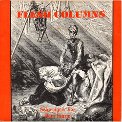 Flesh Columns Schweigew Vor Dem Sturm Vinyl 7" USED