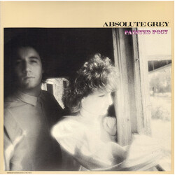 Absolute Grey Painted Post USED VINYL 12INCH 33 S RPM EP