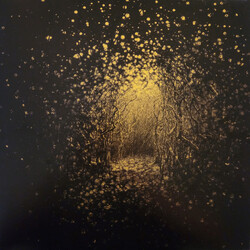 The Antlers Burst Apart Vinyl LP USED