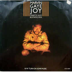 Marvin Gaye Joy (Parts 1 & 2) (Ecstatic Mix) / Turn On Some Music Vinyl 12" USED