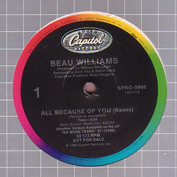 Beau Williams All Because Of You Vinyl 12" USED