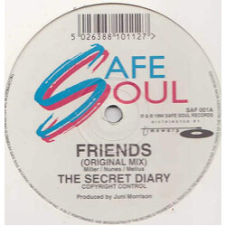 The Secret Diary Friends Vinyl 12" USED