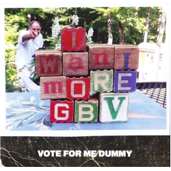 Guided By Voices Vote For Me Dummy Vinyl 7" USED