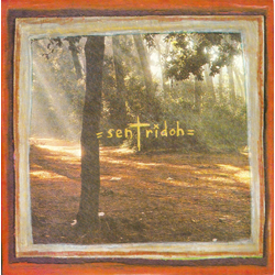 Sentridoh Losercore / Really Insane Vinyl 7" USED