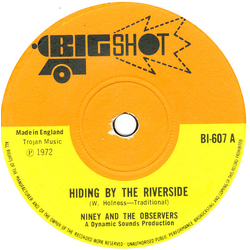 Niney The Observer / The Observers Hiding By The Riverside Vinyl 7" USED
