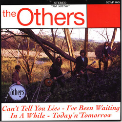 The Others (9) Can't Tell You Lies Vinyl 7" USED