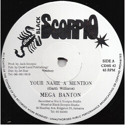 Mega Banton / Terry Ganzie / Mikey Sing Your Name A Mention / Down Inna Yard Vinyl 12" USED