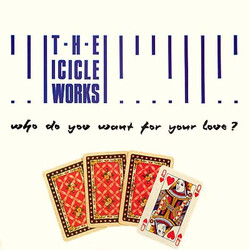 The Icicle Works Who Do You Want For Your Love? Vinyl 12" USED