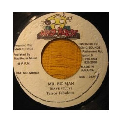 Terror Fabulous Mr Big Man Vinyl 7" USED