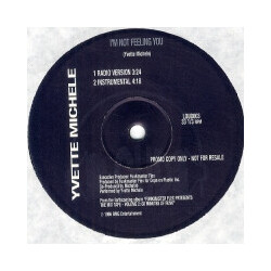 Yvette Michele I'm Not Feeling You Vinyl 12" USED